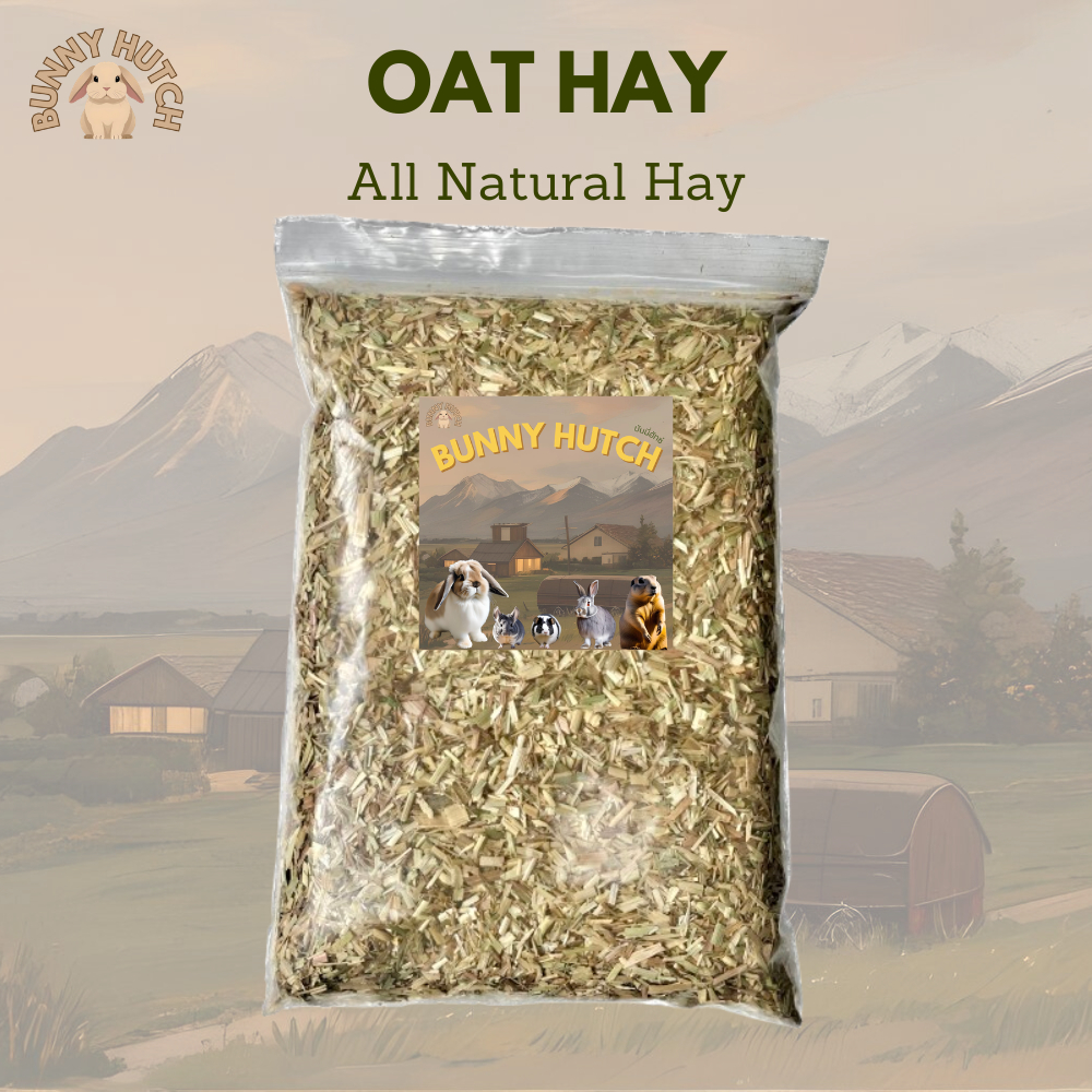 หญ้าโอ๊ตสับ Oat All Natural ขนาด 1 KG