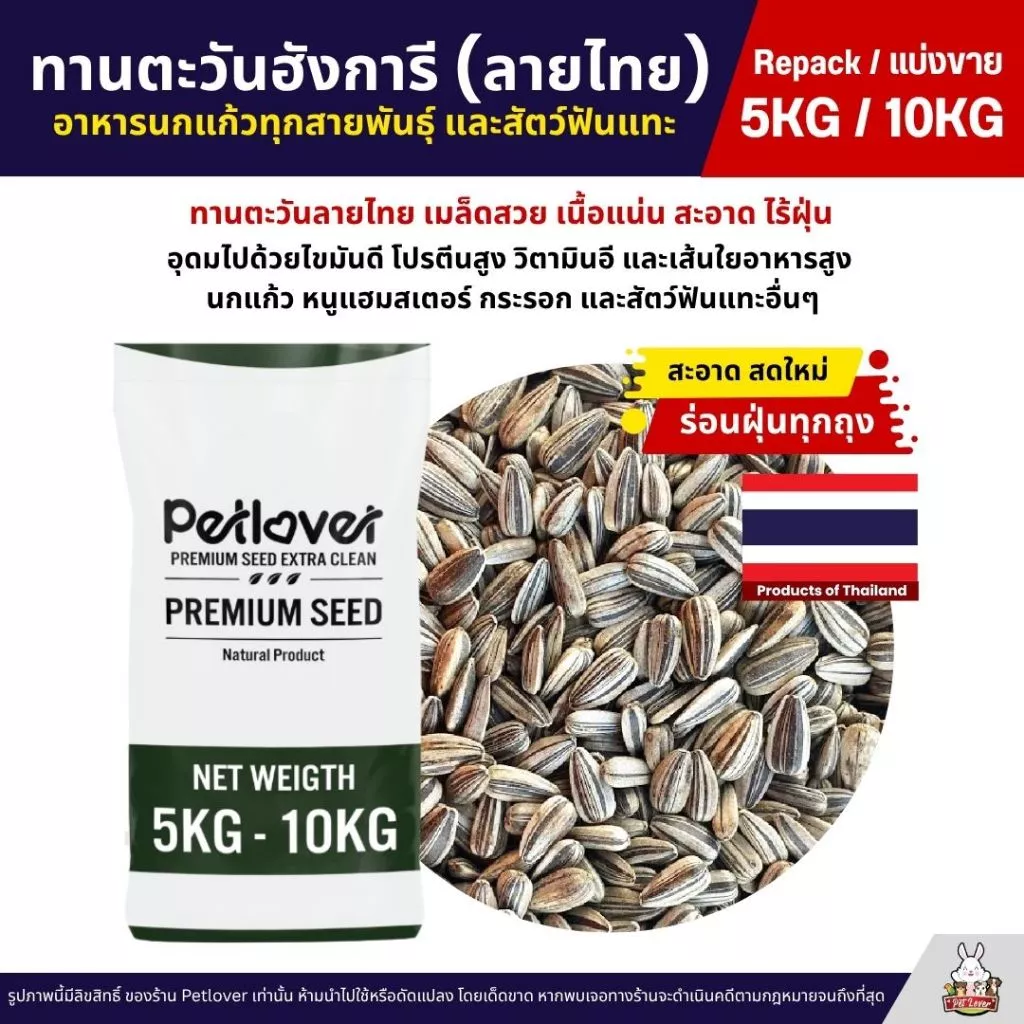 (5KG/10KG) ทานตะวันฮังการี (ลายไทย) เกรดA เม็ดเล็ก อาหารนก และสัตว์ฟันแทะ ใหม่ สด สะอาด ร่อนฝุ่น