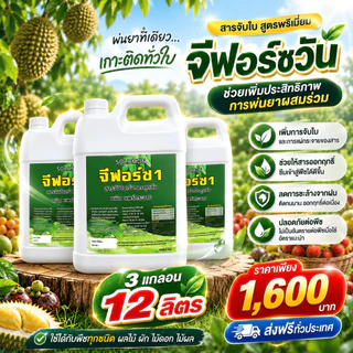 จีฟอร์ซวัน (12ลิตร) สารจับใบ ช่วยเพิ่มประสิทธิภาพปุ๋ยน้ำ ฮอร์โมน และยาป้องกันแมลง 4ลิตร 3แกลอน รวม12ลิตร