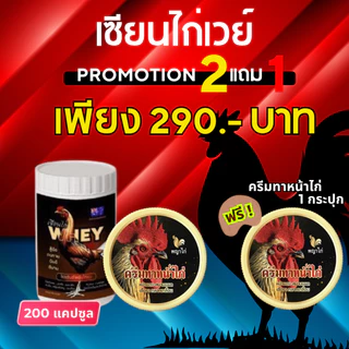 เซียนไก่เวย์โปรตีน บินดีไม่มีตก อึด ทน แรงดี บำรุ่งไก่ชน ของแท้