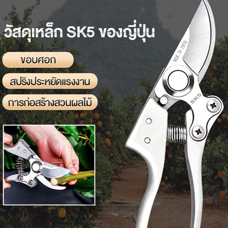 กรรไกรตัดกิ่ง สินค้าพร้อมส่ง กรรไกรตัดกิ่งไม้ กรรไกรตัดหญ้า แต่งสวน กรรไกรตัดกิ่ง sk5