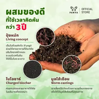 [แพคสุดคุ้ม] - ดินพร้อมปลูก 10,15,20 kg เกรดพรีเมียม 100%ออร์แกนิก (Organic Potting Soil) ระบายน้ำดี เหมาะกับพืชทุกชนิด