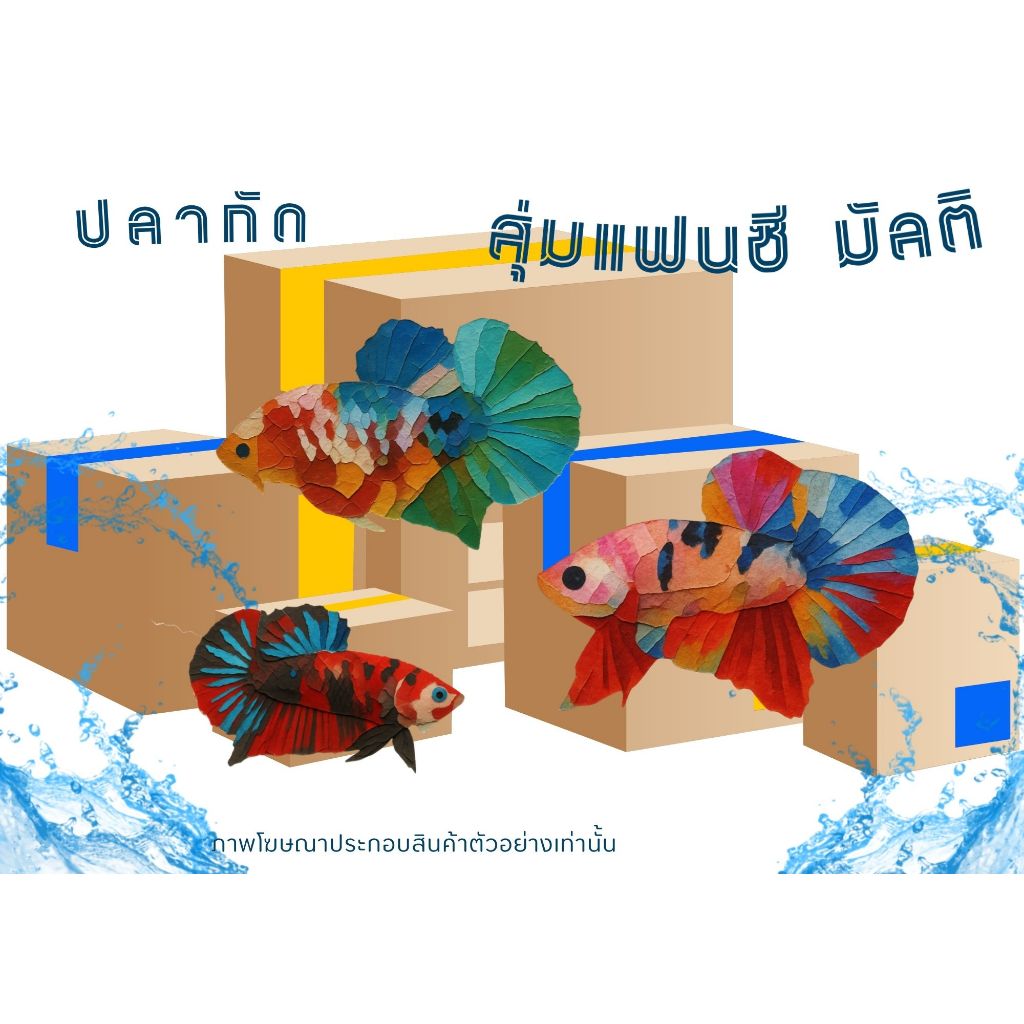 อุปกรณ์ตกแต่งตู้ปลา “ปลาหแฟนซีมัลติ”สวยงาม1กล่อง