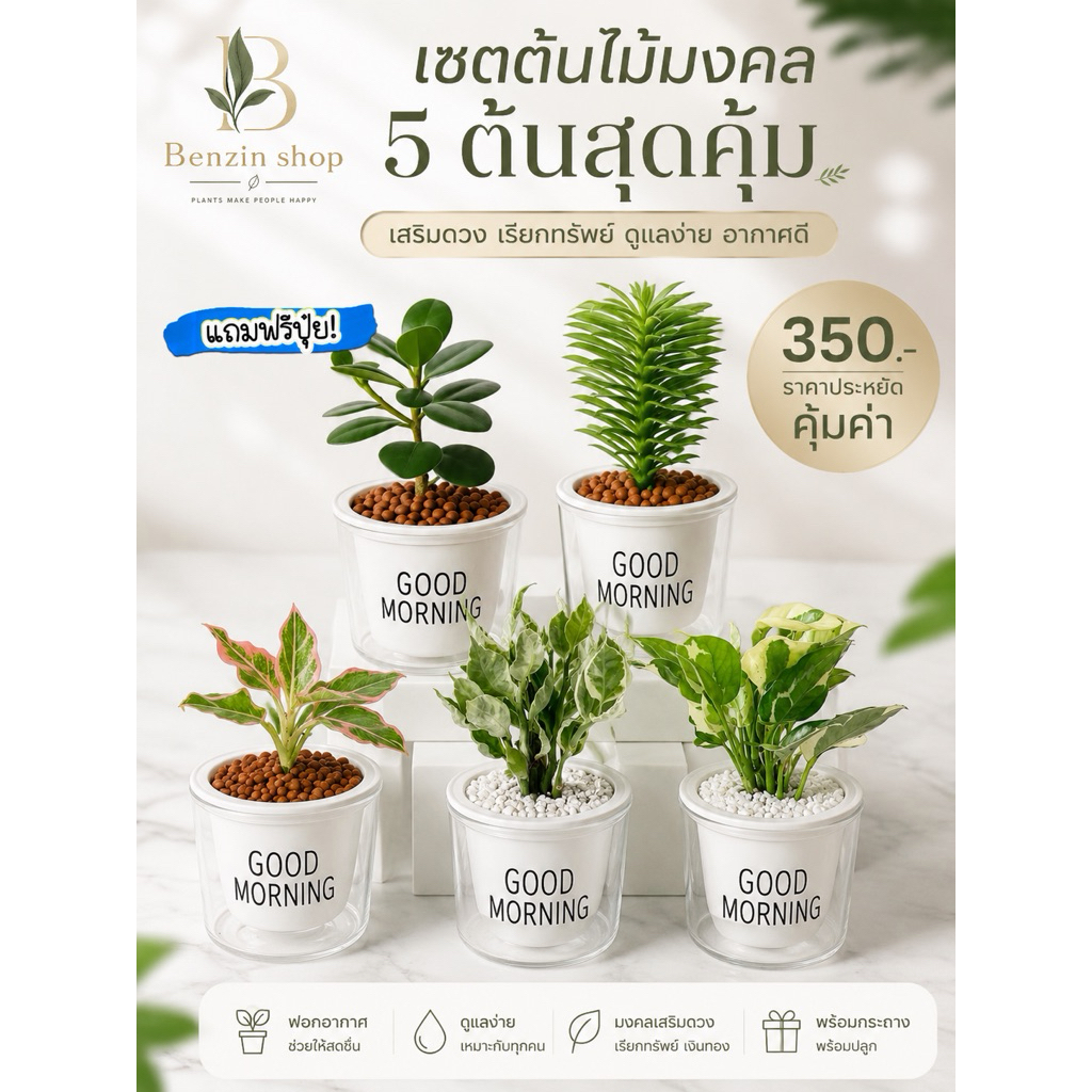 ต้นไม้ฟองอากาศset 5 ต้น กวักเงินใบด่าง+ บันไดเศรษฐี+ ช้อนเงินช้อนทอง+ พลูด่างงาช้าง+ ปุ๋ยบำรุงต้น+ กระถางรดน้ำอัตโนมัติ