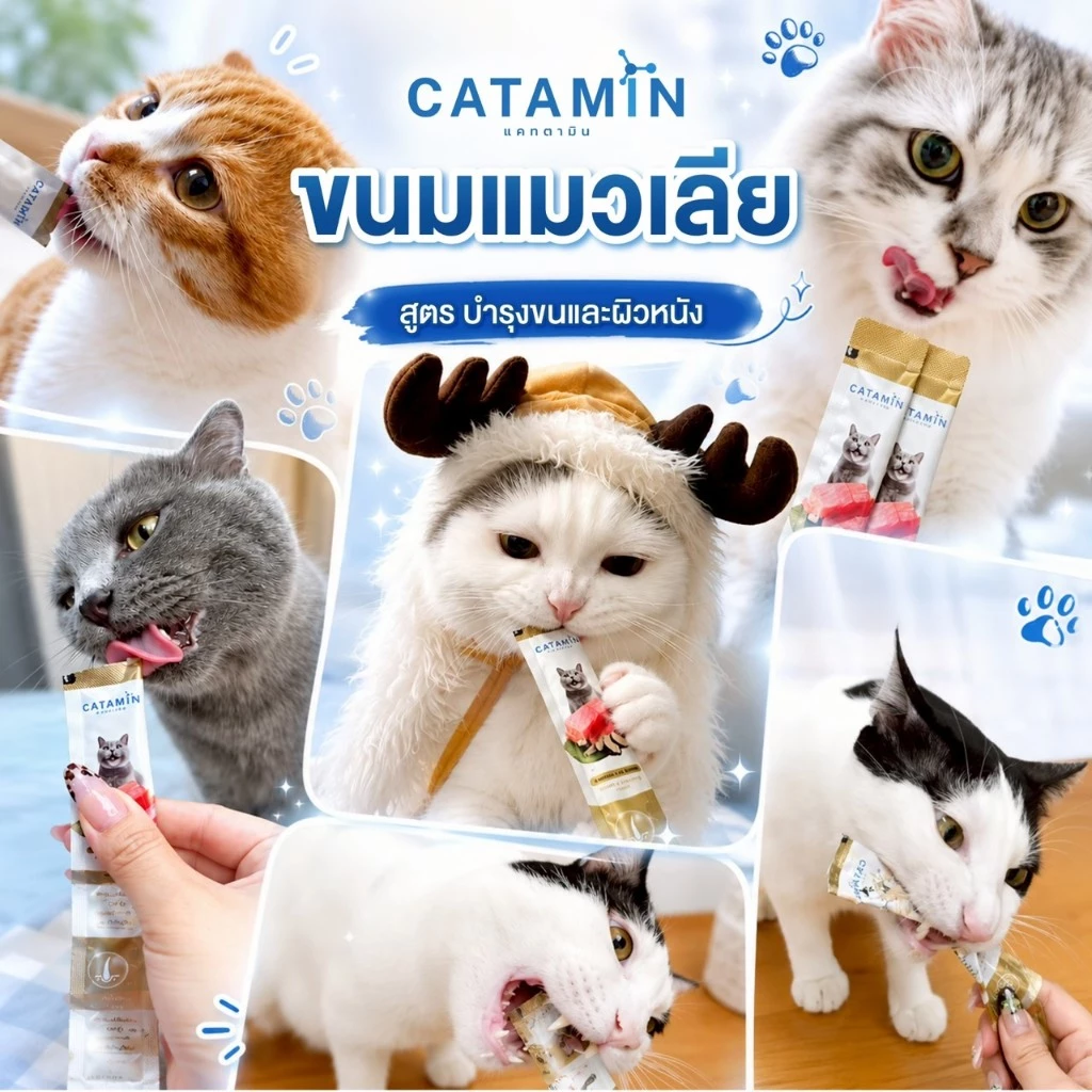 CATAMIN วิตามินแมวเลีย สูตร บำรุงขนและผิวหนัง 1 กล่อง(30ซอง) thumbnail 3