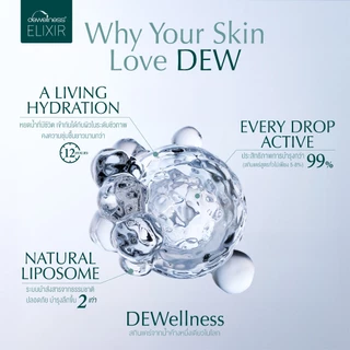 DEWellness Elixir Balanced Skin Kit - ชุดปรับสมดุลผิวที่รวม6ขั้นตอนในเช็ดเดียว