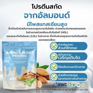 Amino & Plant Protein โปรตีนพืช 5ชนิด - โปร3 กระสอบ
