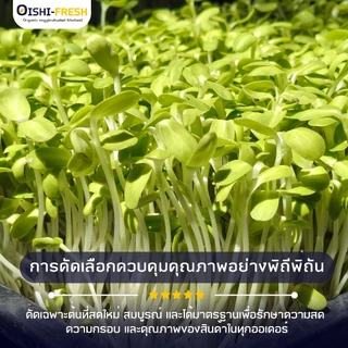 🛒Oishi-Fresh🥬ต้นทานตะวันอ่อน ปลอดสารพิษ 1 กล่อง 100 ก. รสชาติกรอบ สด ใหม่ ใยอาหารสูง หวานออร์แกนิค เคลมได้ 1-2 วัน