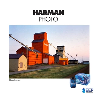 HARMAN PHOENIX II 200 135 24/36exp ฟิล์มสี ISO200
