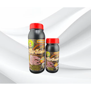 สังข์ทอง ขวดใหญ่ ยาทาหน้ายาง สูตรเข้มข้น สำหรับยางตายนึ่ง / ยางอายุ 15 ปี+ เพิ่มน้ำยาง ยางก้อน ยางพารา [3040]