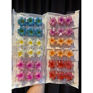 กิ๊บหนีบผมด้านหลัง กิ๊ฟแบบงับ สีพื้น /สีใส 12ชิ้น สินค้าพร้อมส่ง