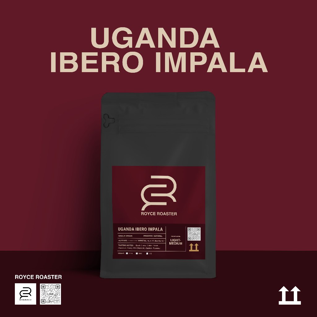 Royce Roaster I เมล็ดกาแฟ UGANDA IBERO IMPALA อาราบิก้า100%
