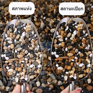 หินตกแต่งตู้ปลา หินแม่น้ำธรรมชาติ คละสี หลายขนาด 4-20mm น้ำหนัก 200/250/500กรัม รองพื้นตู้ปลา ตกแต่งกระถางต้นไม้ สีติดทน