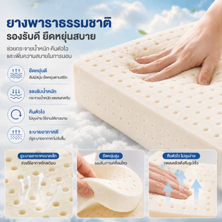 ที่นอนยางพาราแท้ 100% เพื่อสุขภาพ กระจายแรงกด ลดอาการปวดหลัง 3.5ฟุต 5ฟุต 6ฟุต ห้องนอน ห้องเช่า พร้อมส่ง