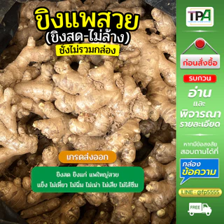 ขิงแพสวย - ขิงสดไม่ล้าง (Fresh Ginger) 1, 2, 3, 4, 5 กก./ KG. เกรดส่งออก เก็บห้องเย็น สินค้าไทย