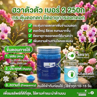 【GreenThumb】ปุ๋ยครบสูตร 7 ชนิด ปุ๋ยละลายน้ำ ปุ๋ยอินทรีย์ สารปรับดิน ดูแลต้นไม้ ดอกไม้ ผัก ผลไม้ กระบองเพชร