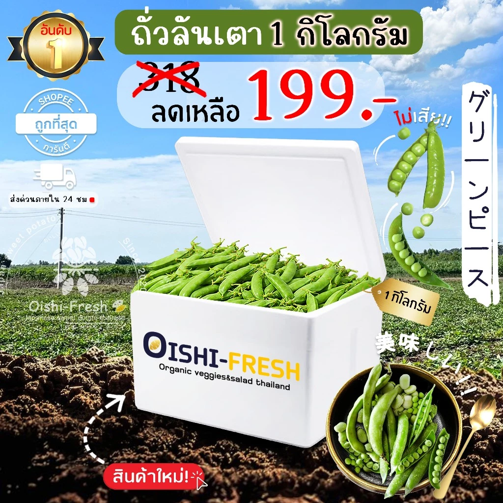 🛒Oishi-Fresh🥬ถั่วลันเตา ปลอดสารพิษ 1 กก. รสชาติกรอบ สด ใหม่ ใยอาหารสูง หวานออร์แกนิค ผัก เคลมได้ 1-2 วัน