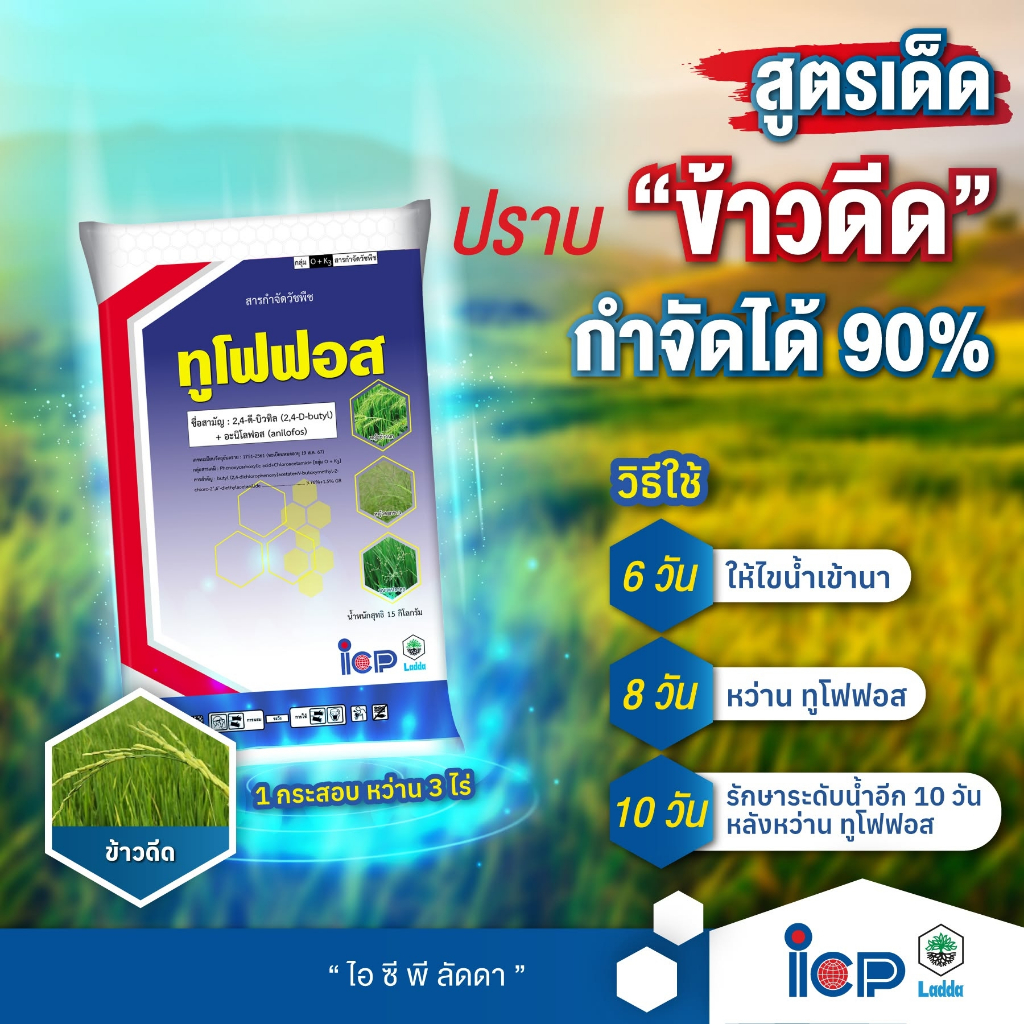 ทูโฟฟอส 15 กิโลกรัม กำจัดข้าวดีดและหญ้าทุกชนิดในนาข้าว อายุ 7-15 วัน มีน้ำ แกะแล้วกว่าน ไม่แฉะใช้ง่าย