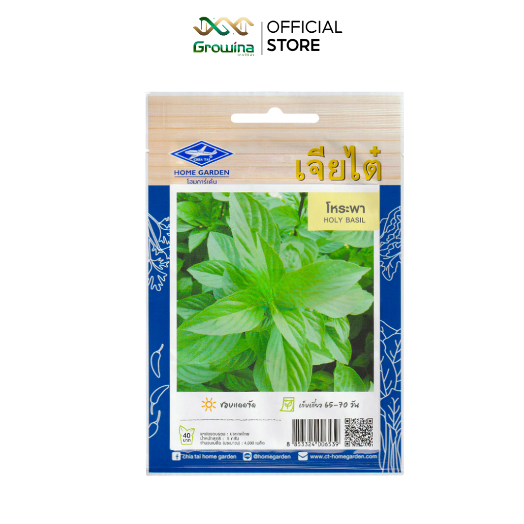 CHIA TAI เมล็ดพันธุ์ผัก เจียไต๋ เมล็ดผักพื้นบ้าน ผักซอง ผัก โหระพา