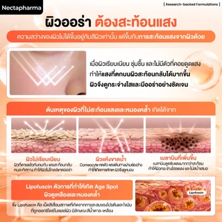 Skin Radiance Whitening Serum ฉ่ำแสงเซรั่ม เซรั่ม ผิวโกลว์ สว่าง กระจ่างใส
