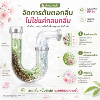 ดับกลิ่นท่อ ดับกลิ่นชักโครก เทลงท่อ กลิ่นเหม็นหายทันที ที่หยดดับกลิ่นชักโครก น้ำยาขจัดกลิ่นท่อระบายน้ำ ใช้ได้ทุกท่อ