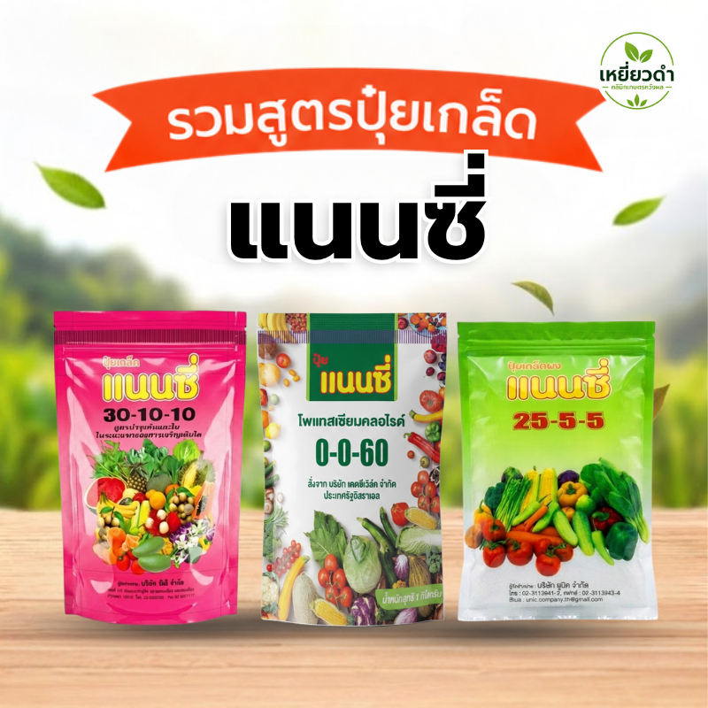 ปุ๋ยเกล็ด แนนซี่ 30-10-10, 25-5-5, 0-0-60 บำรุงต้น บำรุงใบ เร่งโต ปุ๋ยเคมี 1 กก.
