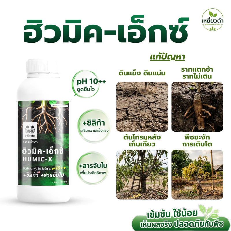 [ฮิวมิค × ฟูลวิคน้ำ pH10+] จบเรื่องดินในขวดเดียว ปรับโครงสร้างดิน แก้ดินกรด เสริมรากใหม่ ปล่อยปุ๋ยในดิน ตราเหยี่ยวดำ