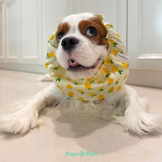 Pups&Pals Pet Snood - Light Fabric ผ้าเนื้อเบา สบาย คลุมกันเลอะสำหรับสุนัขและแมว
