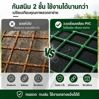 Z5 เคลือบผิวพีวีซี PVC ลวดตาข่ายกรงไก่ ล้อมไก่ รั้วบ้าน 10M ตาข่ายสี่เหลี่ยม ตาข่ายกันนก กรงนก ตาข่ายปูพื้น