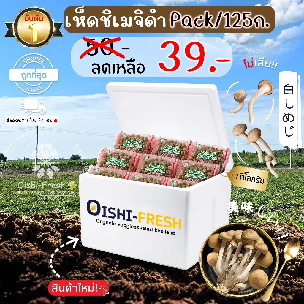 🛒Oishi-Fresh 🍄เห็ดชิเมจิดำ ปลอดสารพิษ 1 แพ็ค รสชาติกรอบ สด ใหม่ ใยอาหารสูง หวานออร์แกนิค ผัก เคลมได้ 1-2 วัน