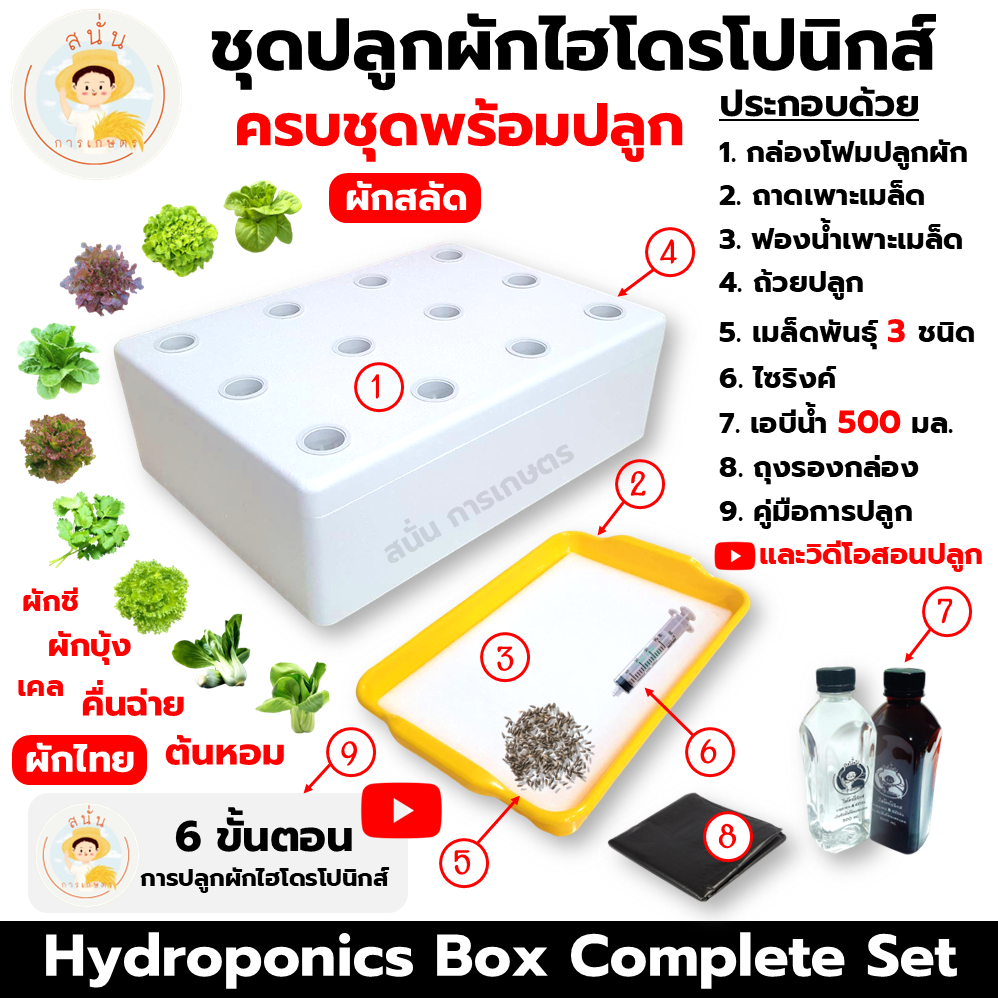 (ครบชุดพร้อมปลูก) ชุดกล่องปลูกผักไฮโดรโปนิกส์ กล่องโฟมปลูกผัก เมล็ด 3 ชนิด คู่มือและวิดีโอสอนปลูก