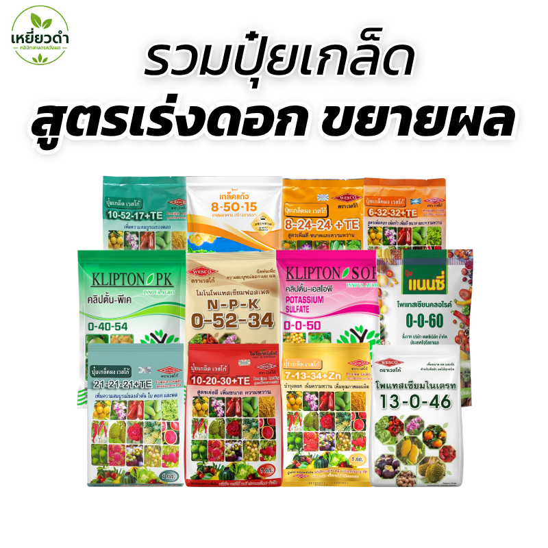 รวมปุ๋ยเกล็ด เวสโก้ ชาลีเฟรท แนนซี่ อินโนว่า ปุ๋ยละลายน้ำ 21-21-21, 8-24-24, 0-52-34, 13-0-46, 0-0-5