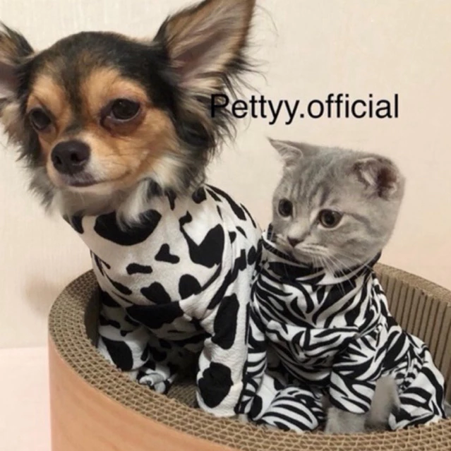 ชุดกันขนร่วงสำหรับแมวและสุนัขส่งเร็ว