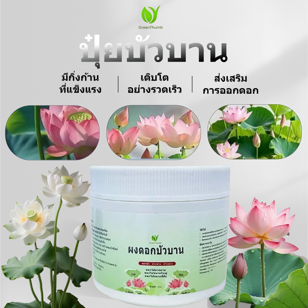 【GreenThumb】ปุ๋ยบัว ปุ๋ยไม้น้ำ ปุ๋ยบอน ปุ๋ยดอกบัว ปุ๋ยไม้น้ำ สัตว์น้ำไม่ตาย เหมาะสำหรับบัว เเละไม้น้ำทุกชนิด กระปุก 250g