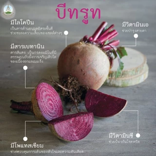 【 1กิโล 】บีทรูทออแกนิค แบบไม่มีก้าน Beetroot คัดเกรด 2-3หัว/โล (ชั่งรวมกล่อง)