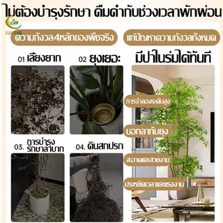 ✨สินค้ารุ่นใหม่+แถบไฟ LED 3M🏡 ต้นไม้ปลอมใบไผ่ ต้นไม้ปลอมใหญ่ 3กิ่ง-120/160/180 ต้นไม้ประดิษฐ์เสมือนจริง สไตล์มินิมอล