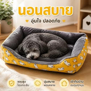 ที่นอนสุนัขพันธุ์เล็ก ที่นอนแมว เบาะนอนแมว 3 ขนาดนุ่ม สบาย ที่นอนสัตว์เลี้ยง pet mat ที่นอนหมา