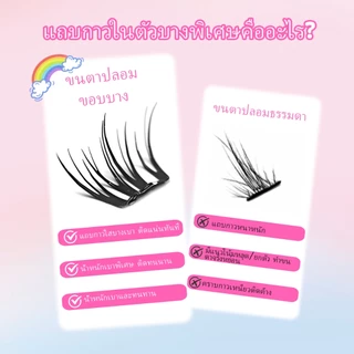【ซื้อครบ2กล่องแถมแหนบ】ANLINNETขนตาปลอมกาวในตัว ติดง่าย เรียงเส้นสวย เป็นธรรมชาติ มีให้เลือกครบทุกสไตล์