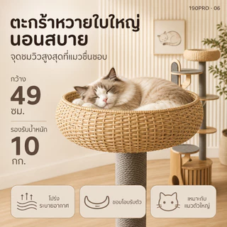 [FurryJoyคอนโดแมวไม้ยางพารา190cmหลุมอวกาศใหญ่พิเศษ ตะกร้าหวาย ที่ลับเล็บแมว แข็งแรง มั่นคงไม่ล้มง่าย
