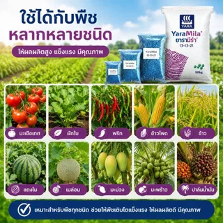 ปุ๋ยยาารามีล่า 13-13-21 ขนาดบรรจุ 100 กรัม - 2 กิโลกรัม