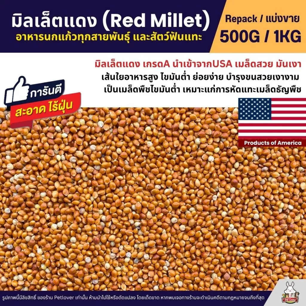 มิลเล็ตแดง Red Millet เกรดA อาหารนกแก้ว และสัตว์ฟันแทะ สะอาด ร่อนฝุ่น (แบ่งขาย 500G / 1KG)