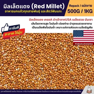 มิลเล็ตแดง Red Millet เกรดA อาหารนกแก้ว และสัตว์ฟันแทะ สะอาด ร่อนฝุ่น (แบ่งขาย 500G / 1KG)