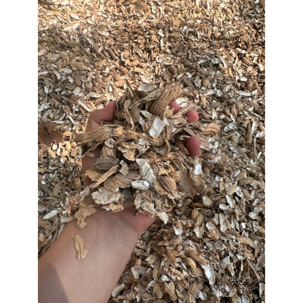 เปลือกถั่วลายเสือ🥜 ขนาด 4 กก. ออร์แกนิค 100% (เกรดพรีเมียม สะอาด แห้งสนิท)