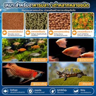 อุปกรณ์เลี้ยงปลา เครื่องให้อาหารปลาอัตโนมัติ เครื่องให้ อาหารปลา ตั้งเวลาให้อาหารได้หลายครั้ง
