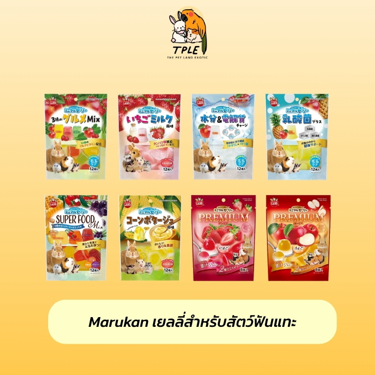 Marukan เยลลี่สำหรับกระต่าย หนู สัตว์ฟันแทะ รสเข้าใหม่ ยกถุง มี 8 สูตร