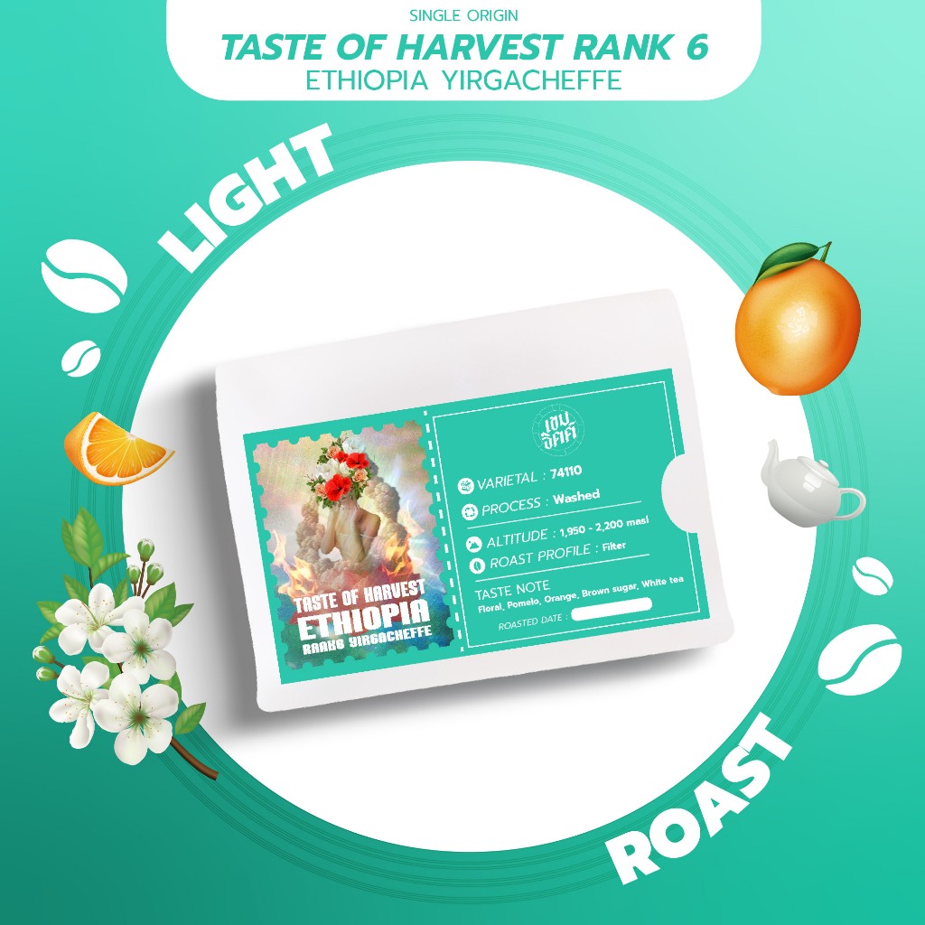 เมล็ดกาแฟคั่วอ่อน Ethiopia Yirgacheffe Taste of harvest rank6 Washed 2026 ขนาด100กรัม