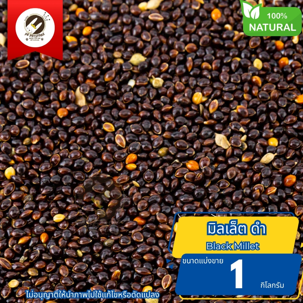 Black Millet มิลเล็ต ดำ  ธัญพืช Seed ขนาดแบ่งขาย สําหรับนกหลายชนิด รวมทั้งนกหงส์หยก, นกเลิฟเบิร์ด, น