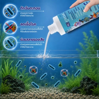 PRO ACTIVE BAC จุลินทรีย์ Nitrifying Bacteria ช่วยให้น้ำใสสะอาด ย่อยสลายของเสีย ลดเชื้อโรคในน้ำ ช่วยให้ปลาสุขภาพดี