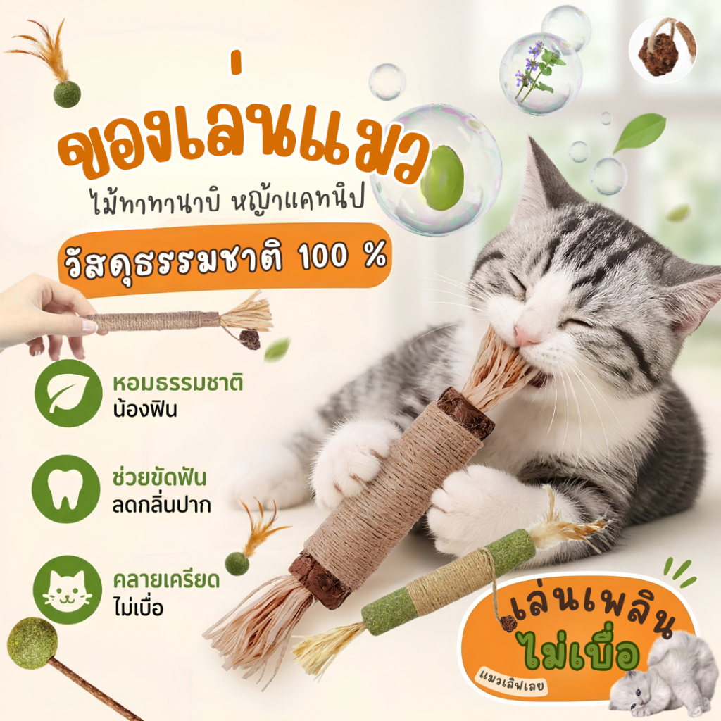 ไม้มาทาทาบิ ขัดฟันแมว Matatabi ขนาด S/L ของเล่นแมว หญ้าแมวแทะเพลิน ขจัดคราบหินปูน  บรรเทาความเครียด