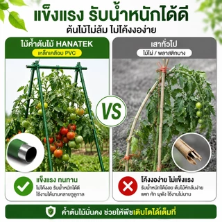 HANATEK ไม้ค้ำต้นไม้ 10 แท่ง เสามะเขือเทศ หลักไม้เลื้อย 11 มม. 60-150 ซม. ทำค้างผัก DIY